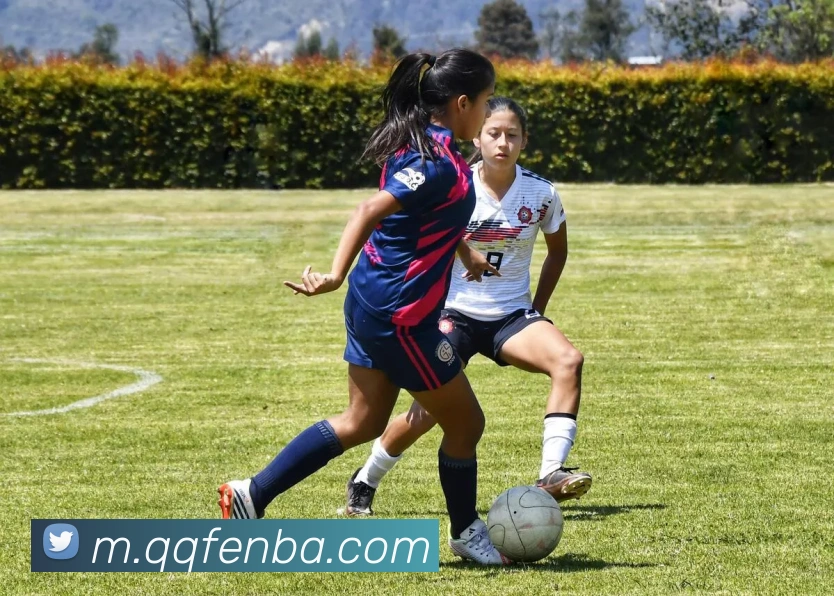 nba投注网站平台生态图